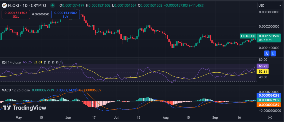 Floki Inu price prediction 2024-2030: Can FLOKI surpass previous ATH?