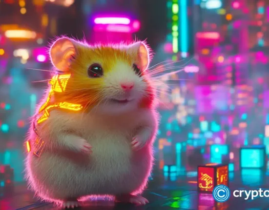 Hamster Kombat hints at NFTs, web app after airdrop