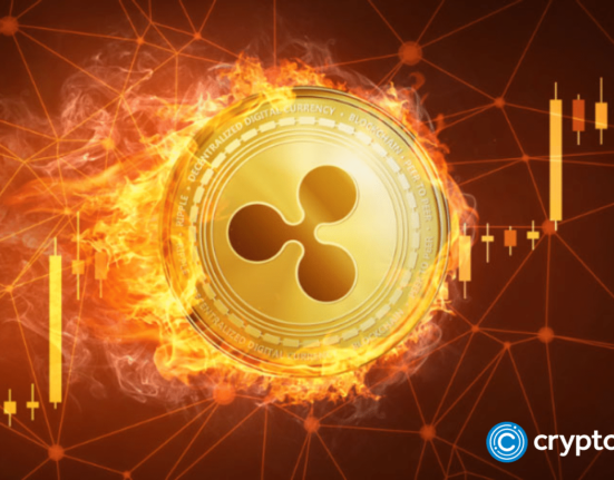 Ripple’s Chris Larsen leads $10m investment in Yellow Network