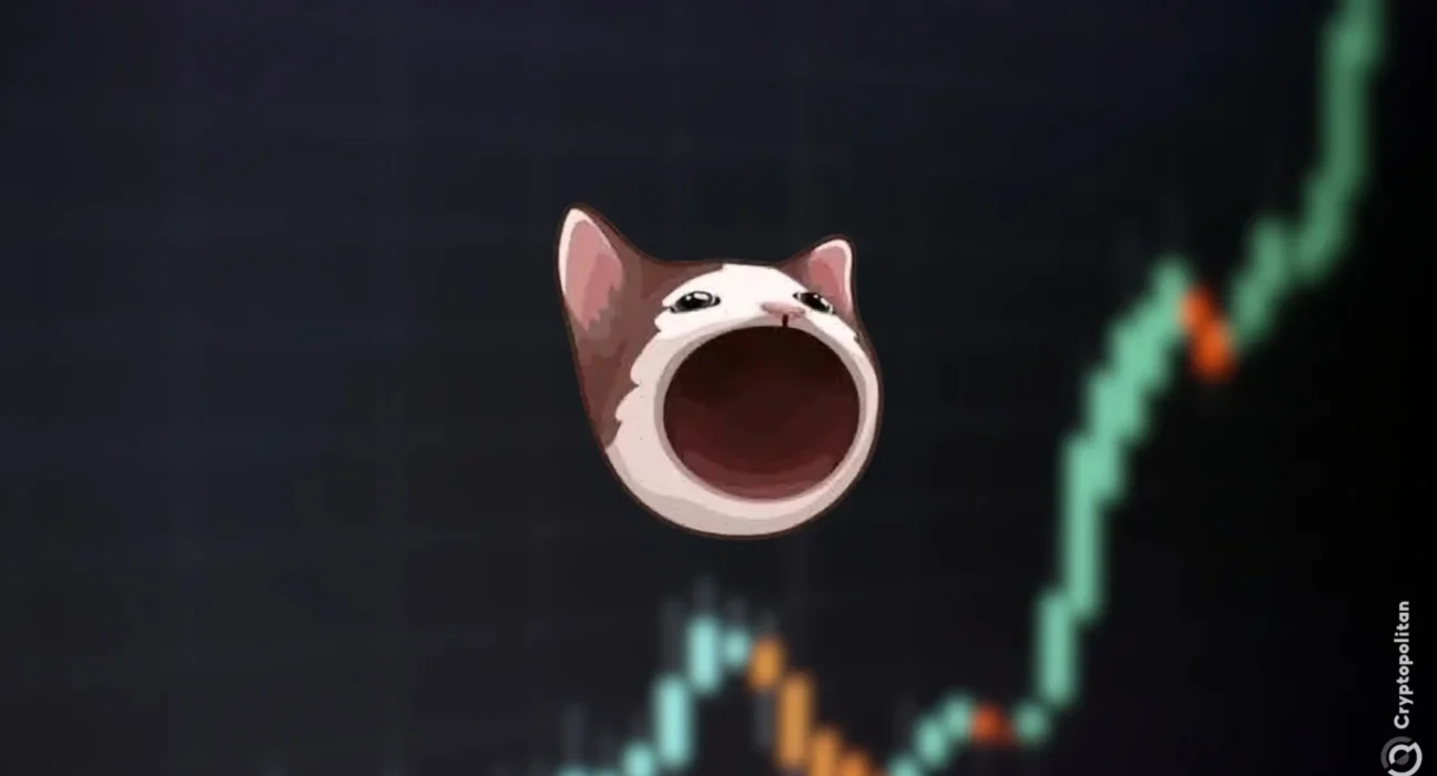 Solana Meme Coin POPCAT hits the $1 billion market cap