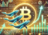 Bitcoin Whales ‘Grew Substantially’ During Last Dip, Data Shows Large-Holder Accumulation