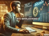 Bitcoin whales have ramped up efforts - THIS is why