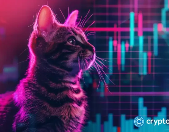 Popcat and MEW tokens rally as Solana DEX volume flips Ethereum