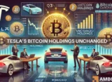 Tesla Bitcoin holdings remain unchanged, Q3 earnings report reveals