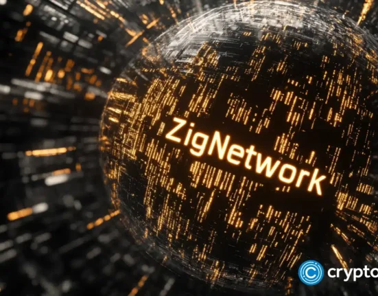 Why Hedera and Kusama holders are eager to learn about Zig Network