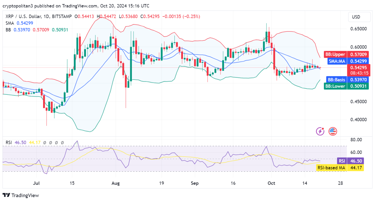 XRP price prediction 2024-2030: Will XRP reach $1?