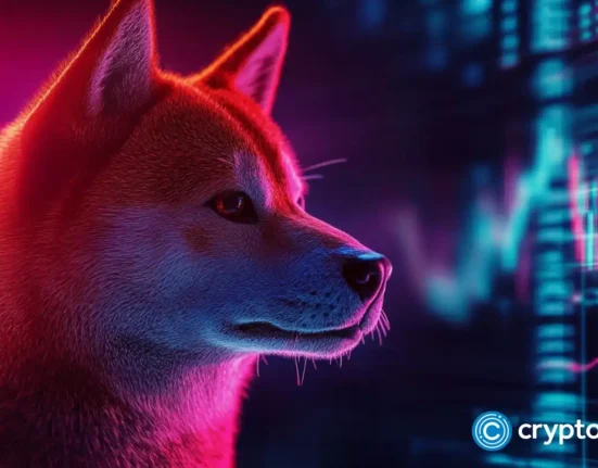 Shiba Inu set for new ATH, whales accumulates this 10x coin alongside Ethereum